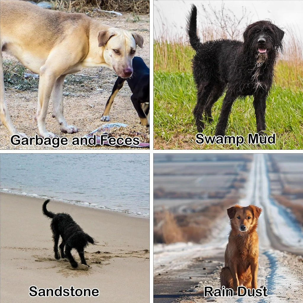 Portable Dog Paw Washer
