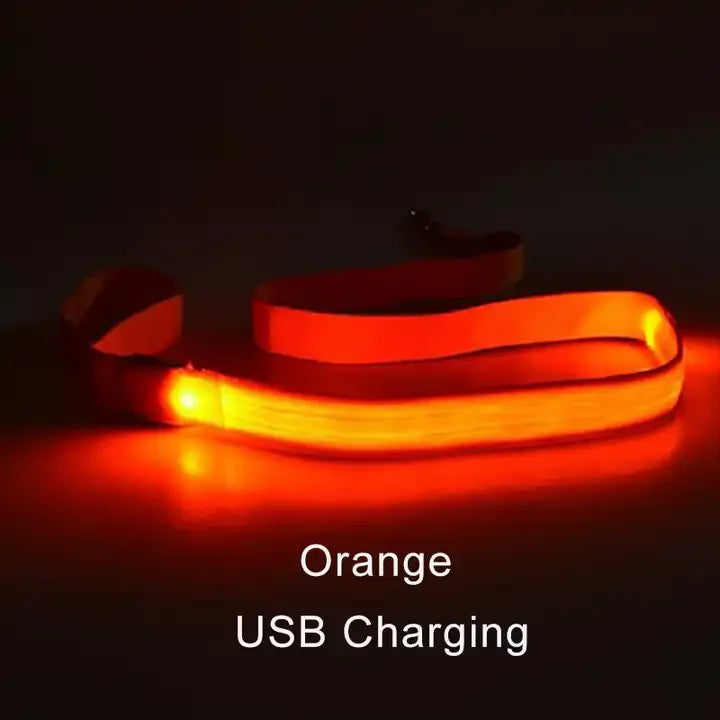 LED Lighted Dog Leash