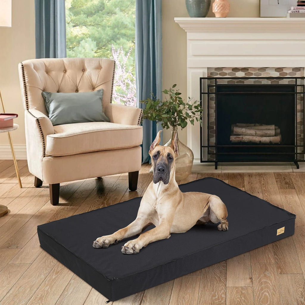 Large Orthopedic Dog Bed, Machine Washable