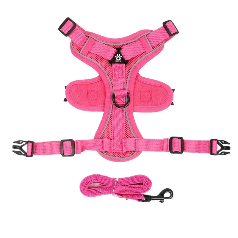 Adjustable No-Pull Dog Harness and Leash Set
