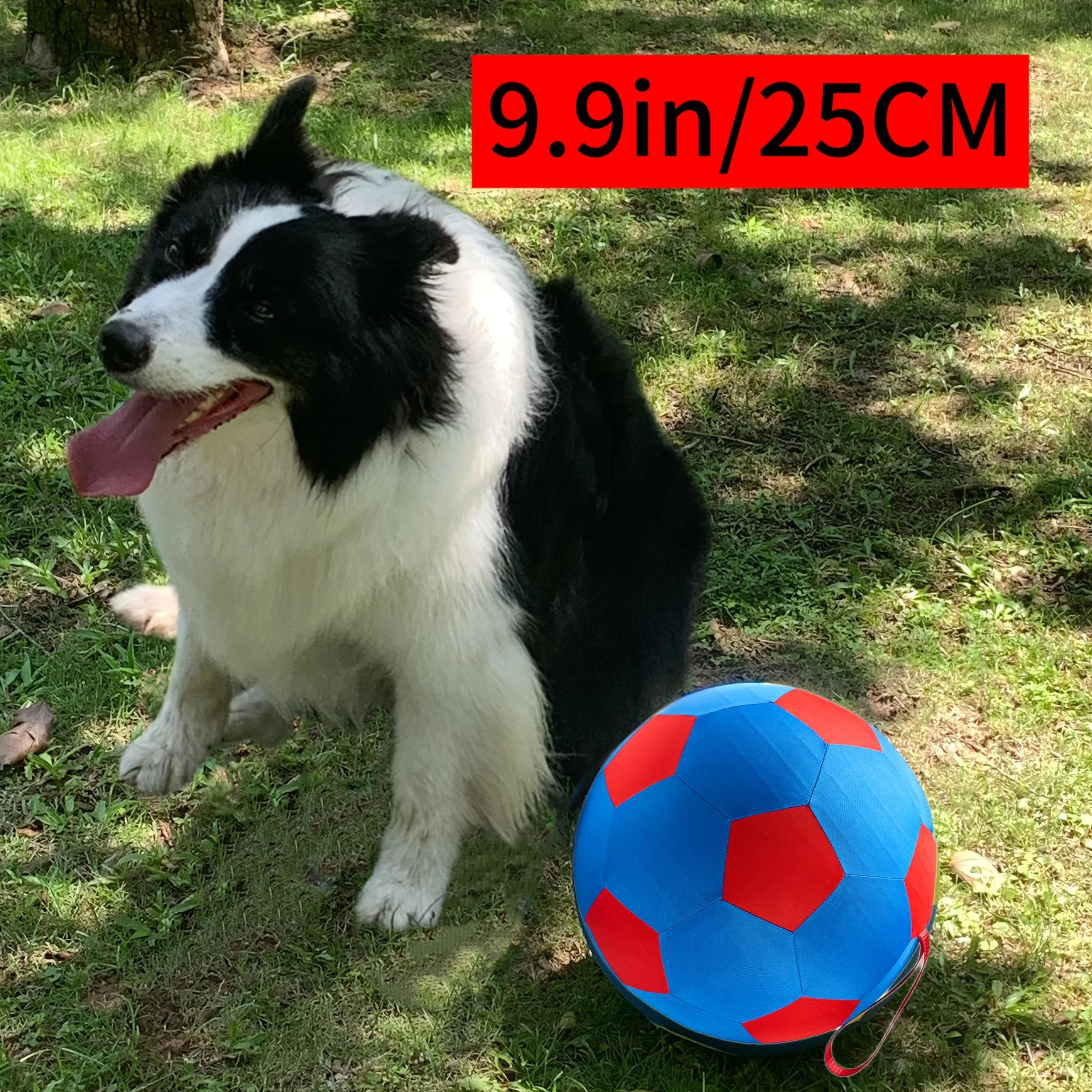 Upgraded 25cm/9.9in Herding Ball
