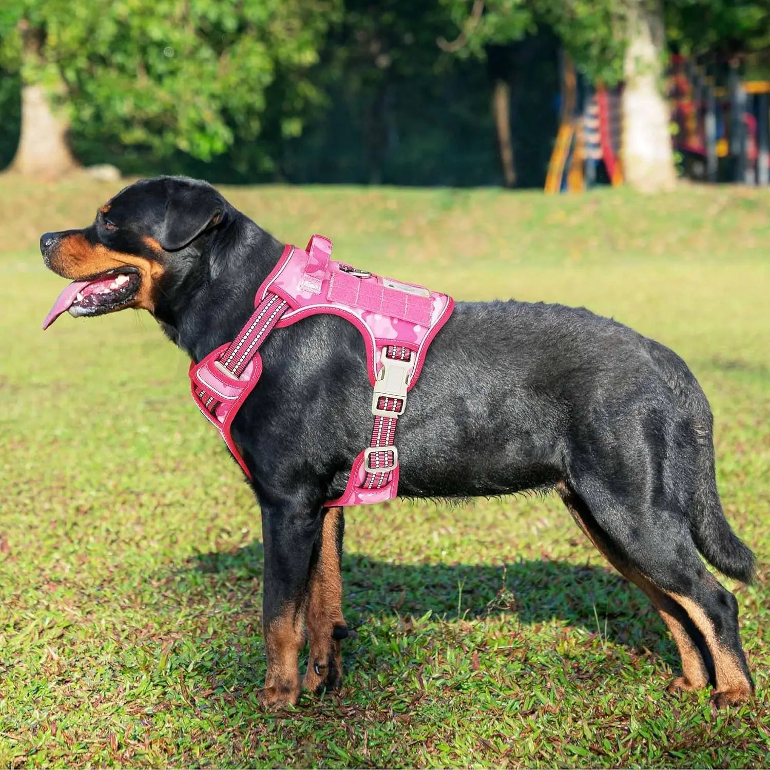 Heavy Duty Tactical Dog Harness