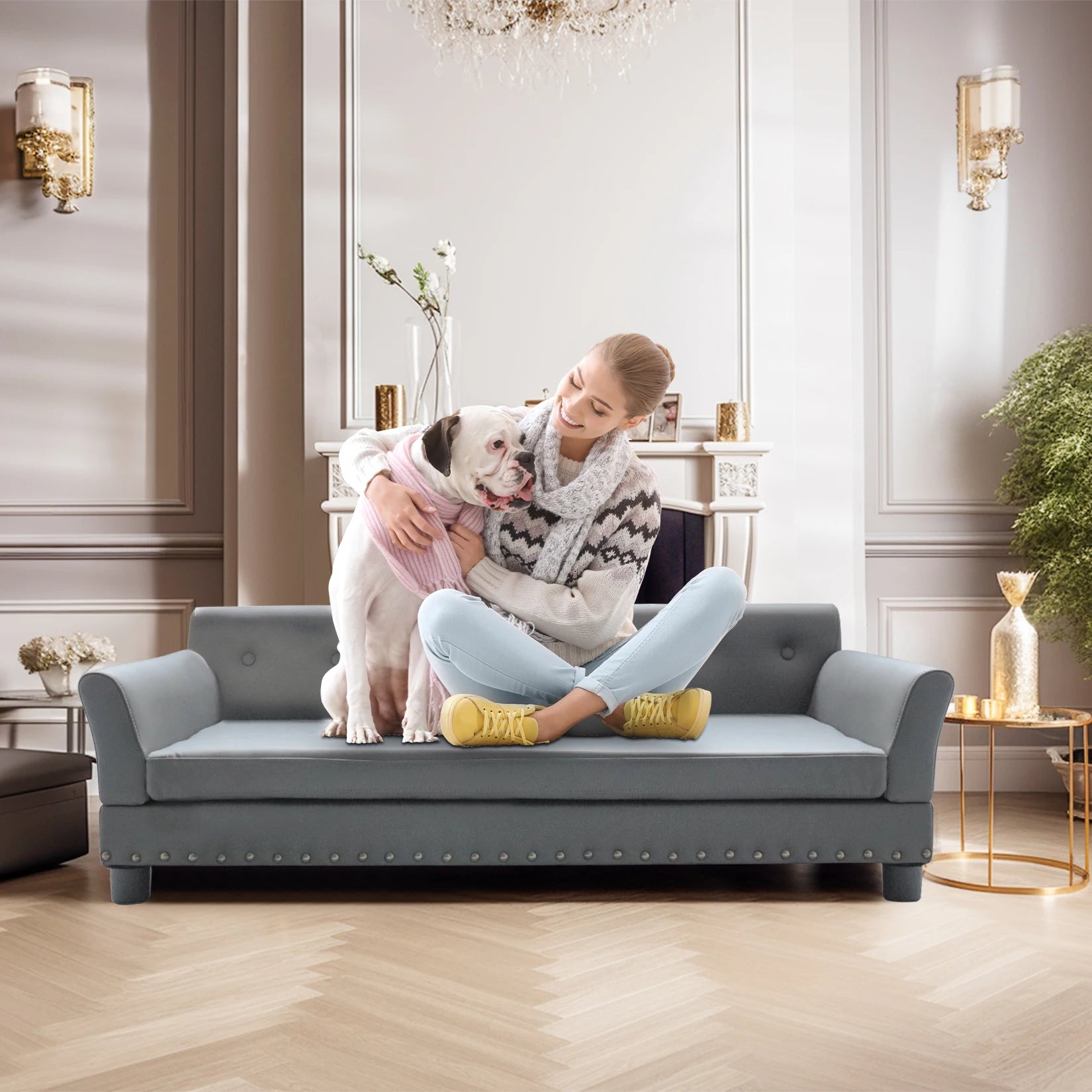 Durable Elevated Modern Dog Sofa Bed