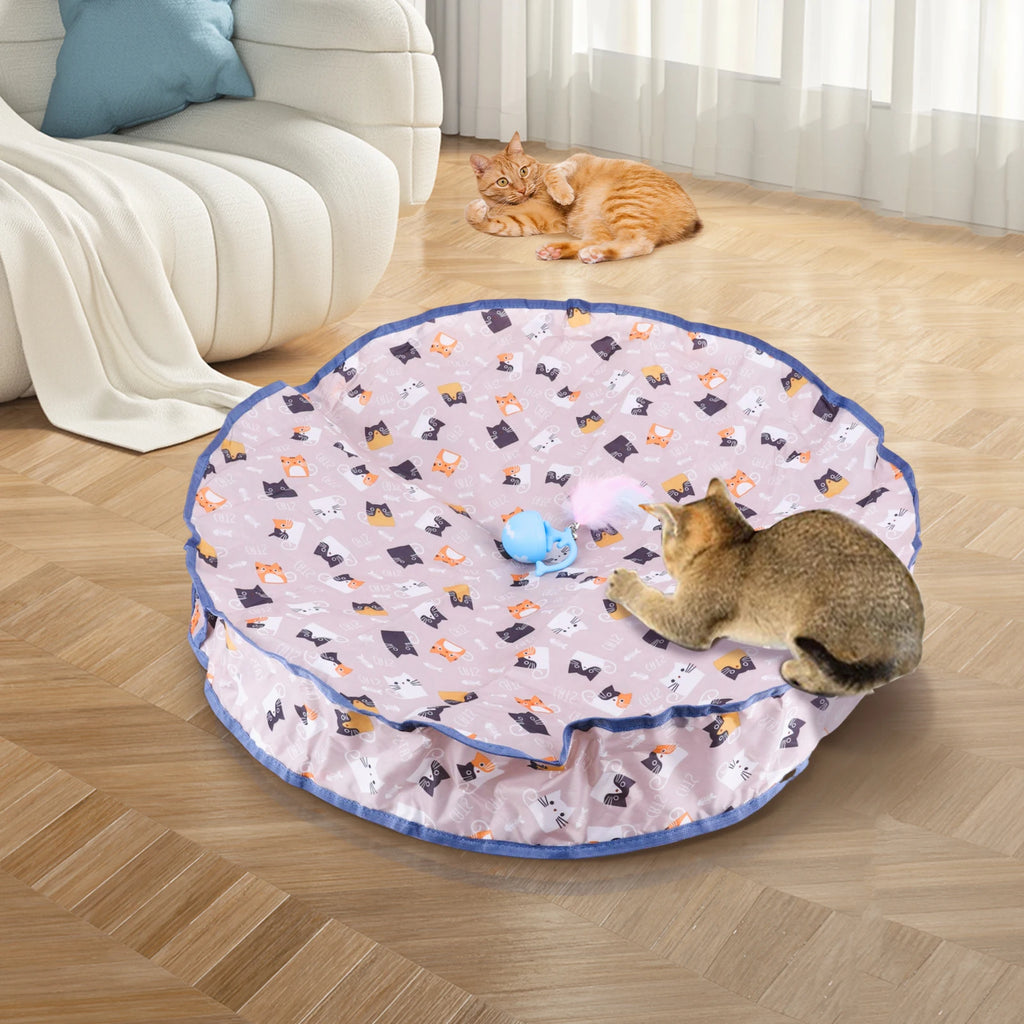 Interactive Cat and Mouse Toy