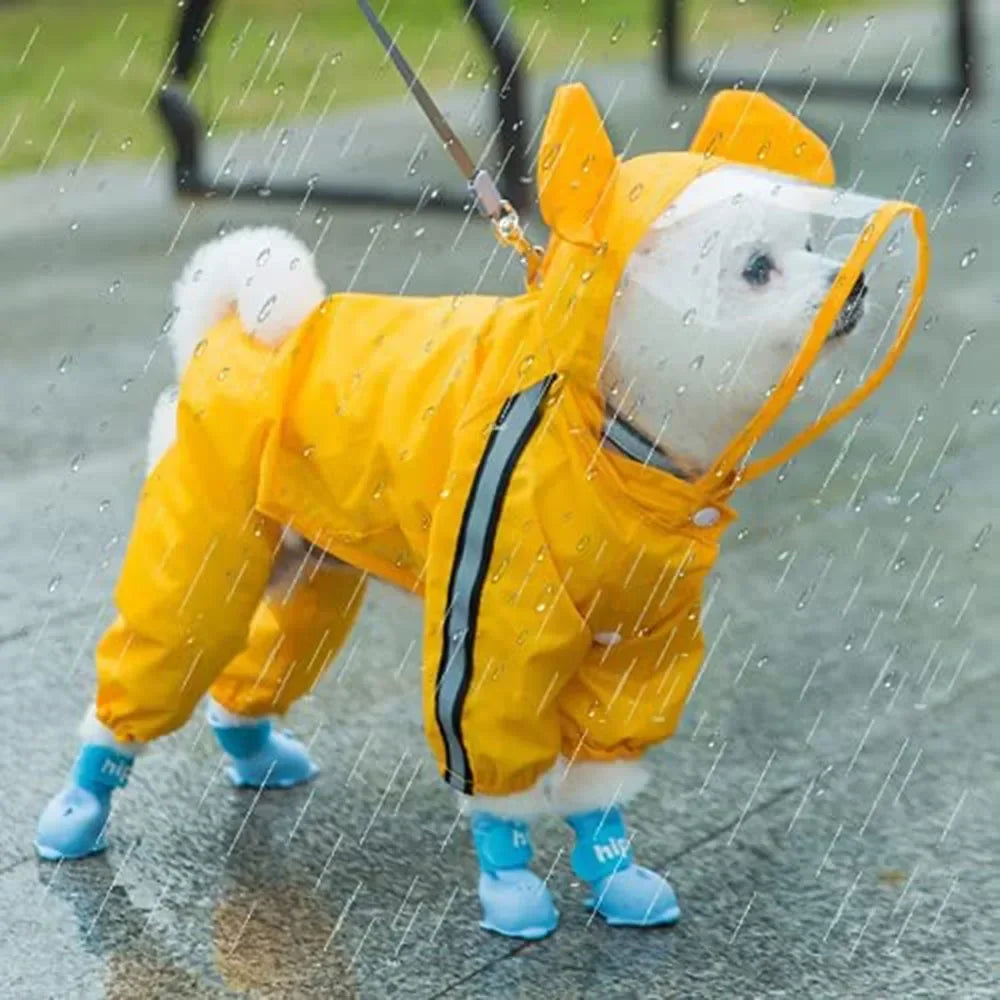 Bear, Dinosaur, or Bumble Bee Dog Raincoat
