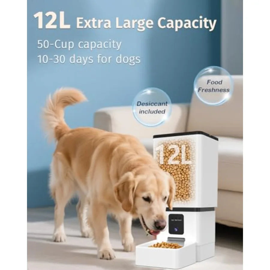 Automatic Dog Feeder with Camera and WiFi