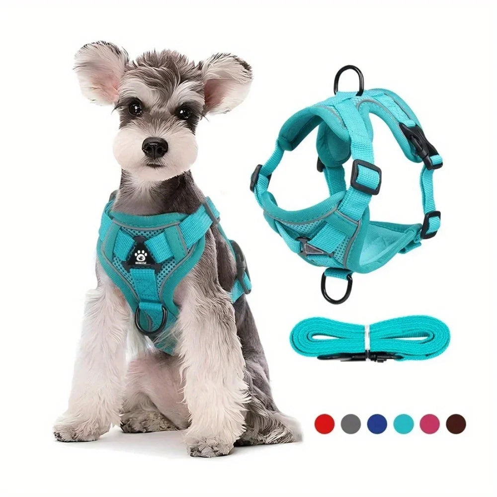 Adjustable No-Pull Dog Harness and Leash Set