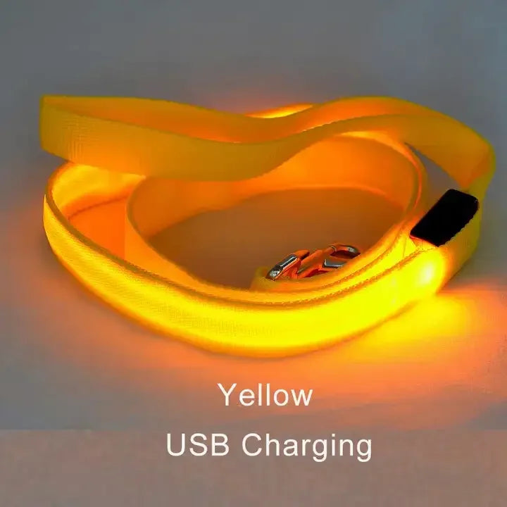LED Lighted Dog Leash