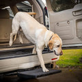 Portable Lightweight Dog Step