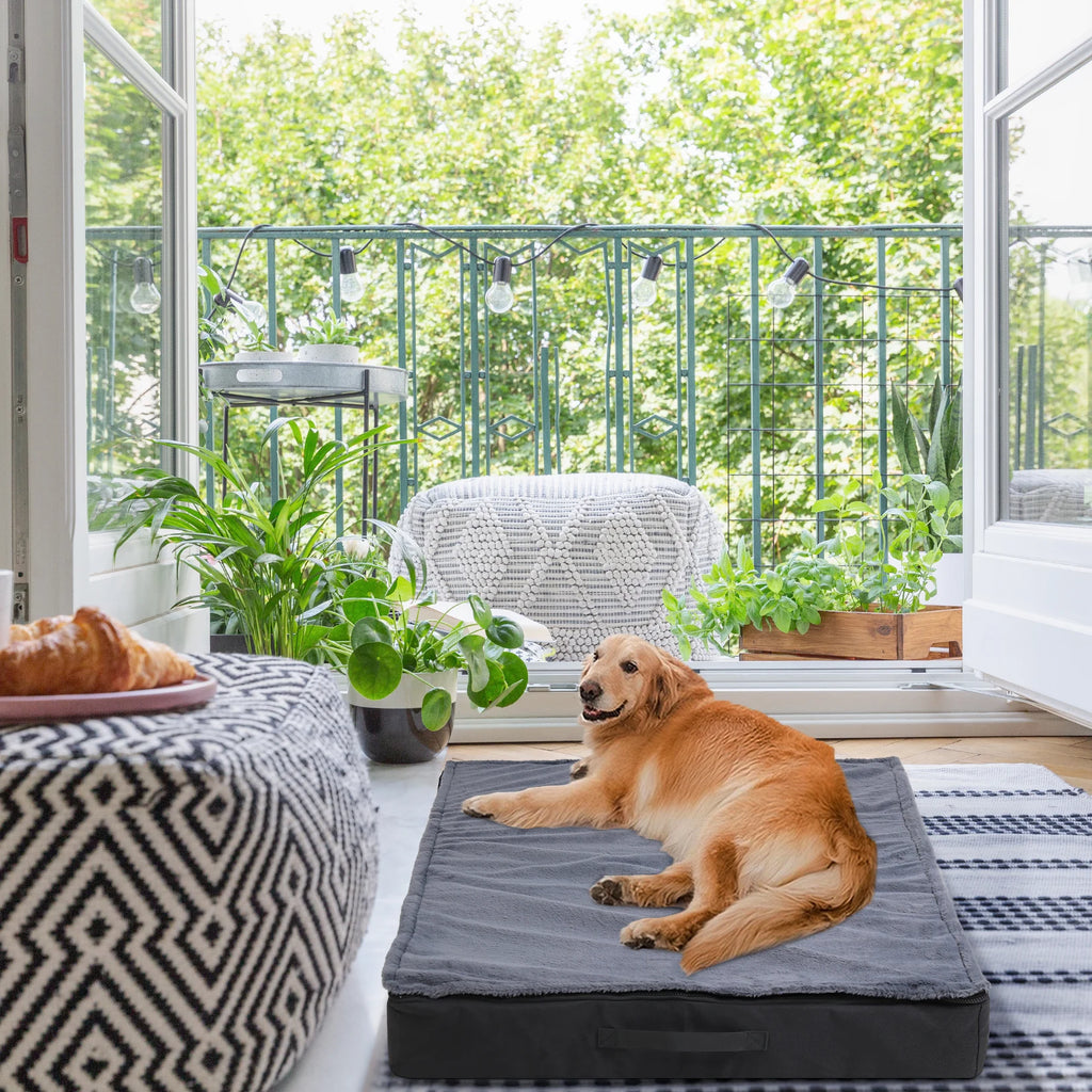 Large Orthopedic Dog Bed, Machine Washable