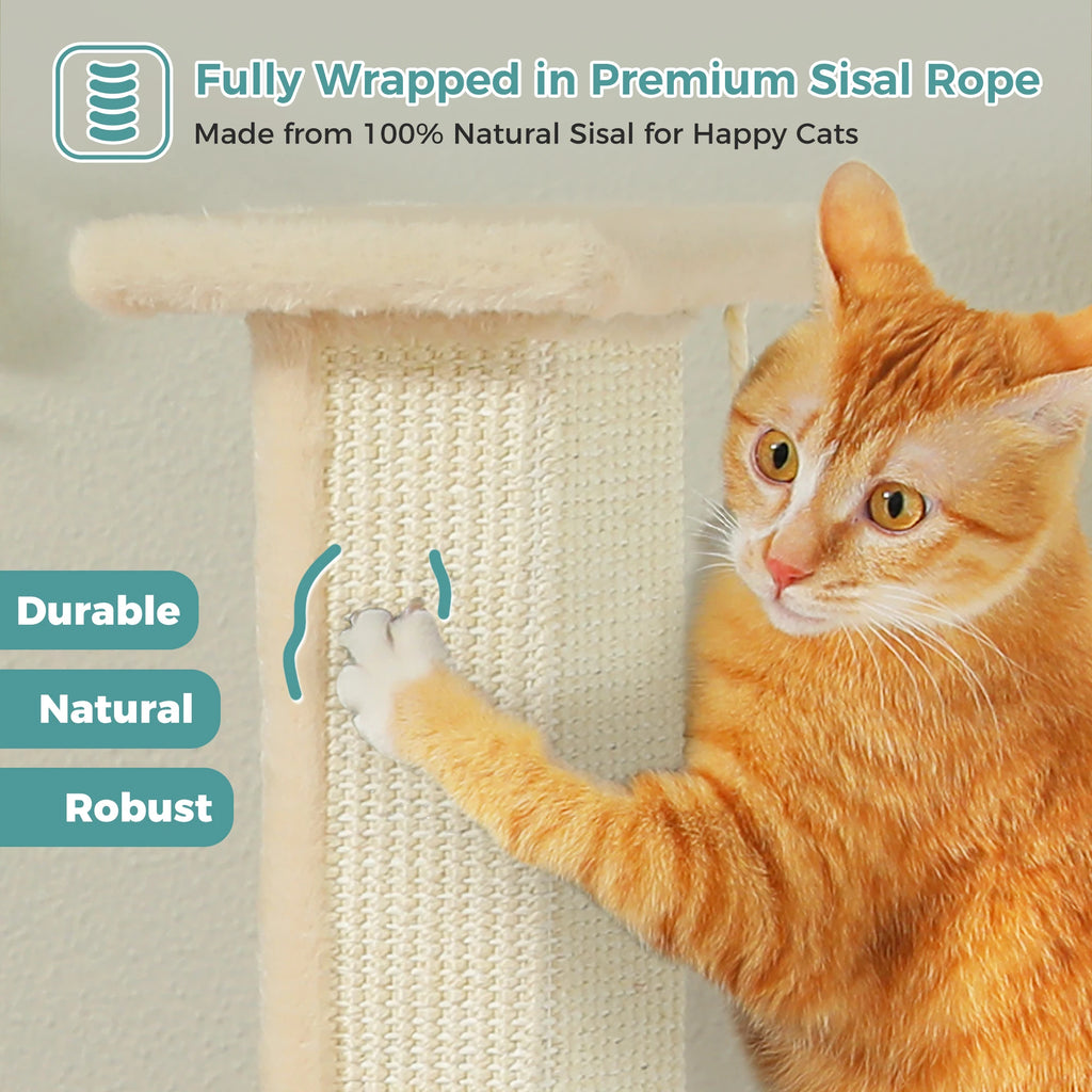 Tall Cat Scratching Post with Ball