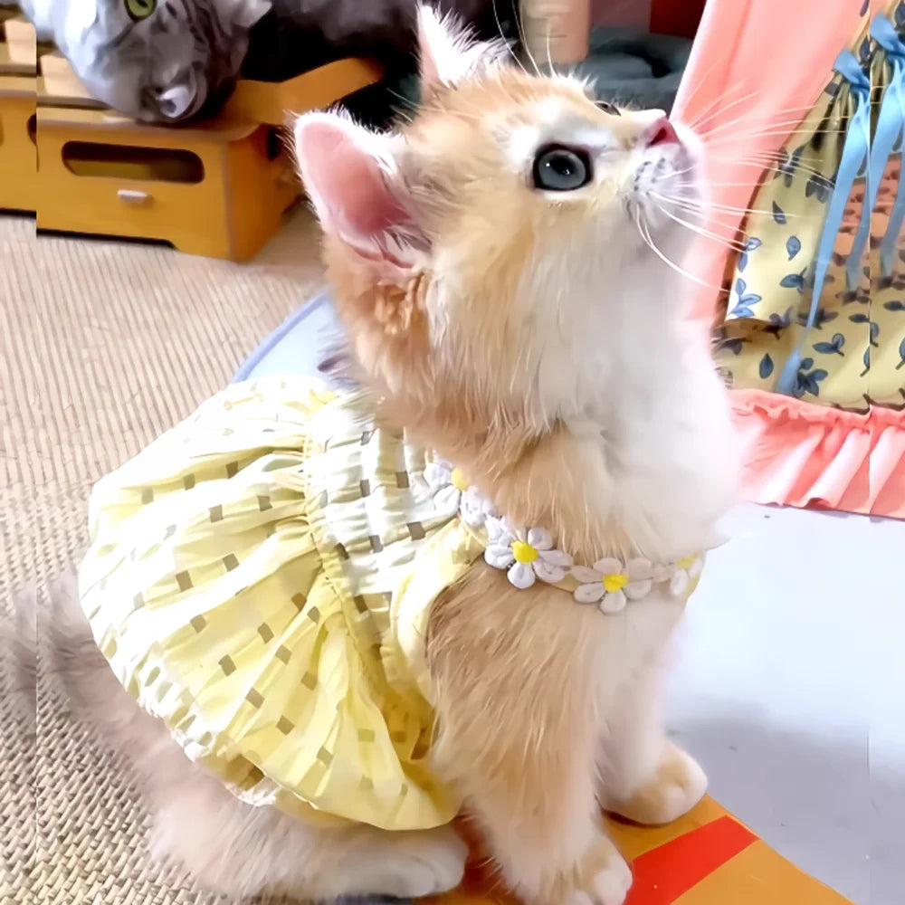 Adorable Small Dog or Cat Dress