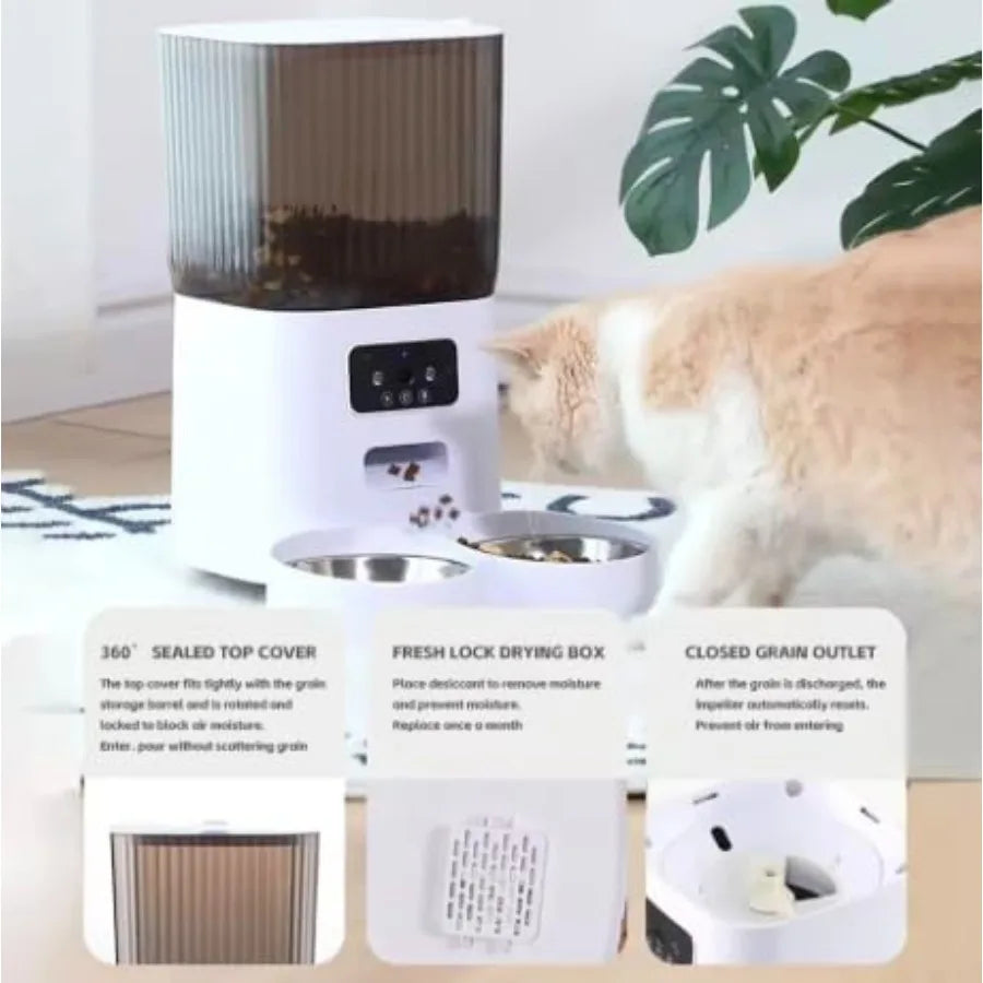 Automatic Double Pet Feeding Station