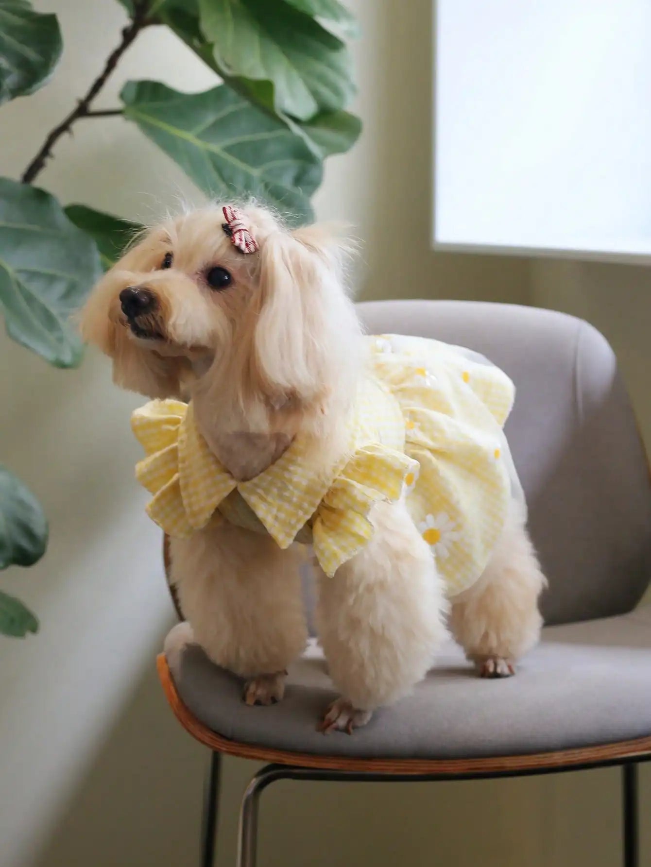 Yellow Embroidered Gingham Pet Dress