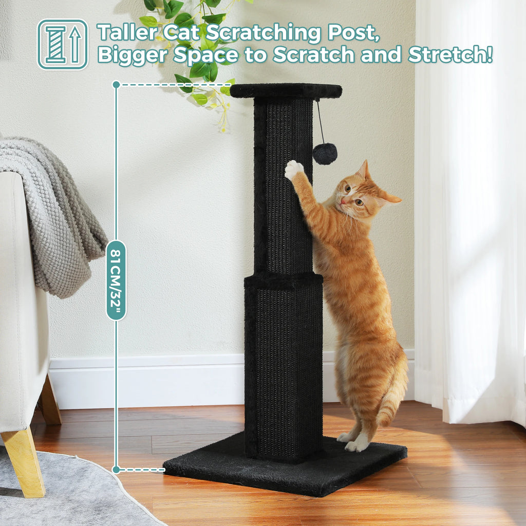 Tall Cat Scratching Post with Ball