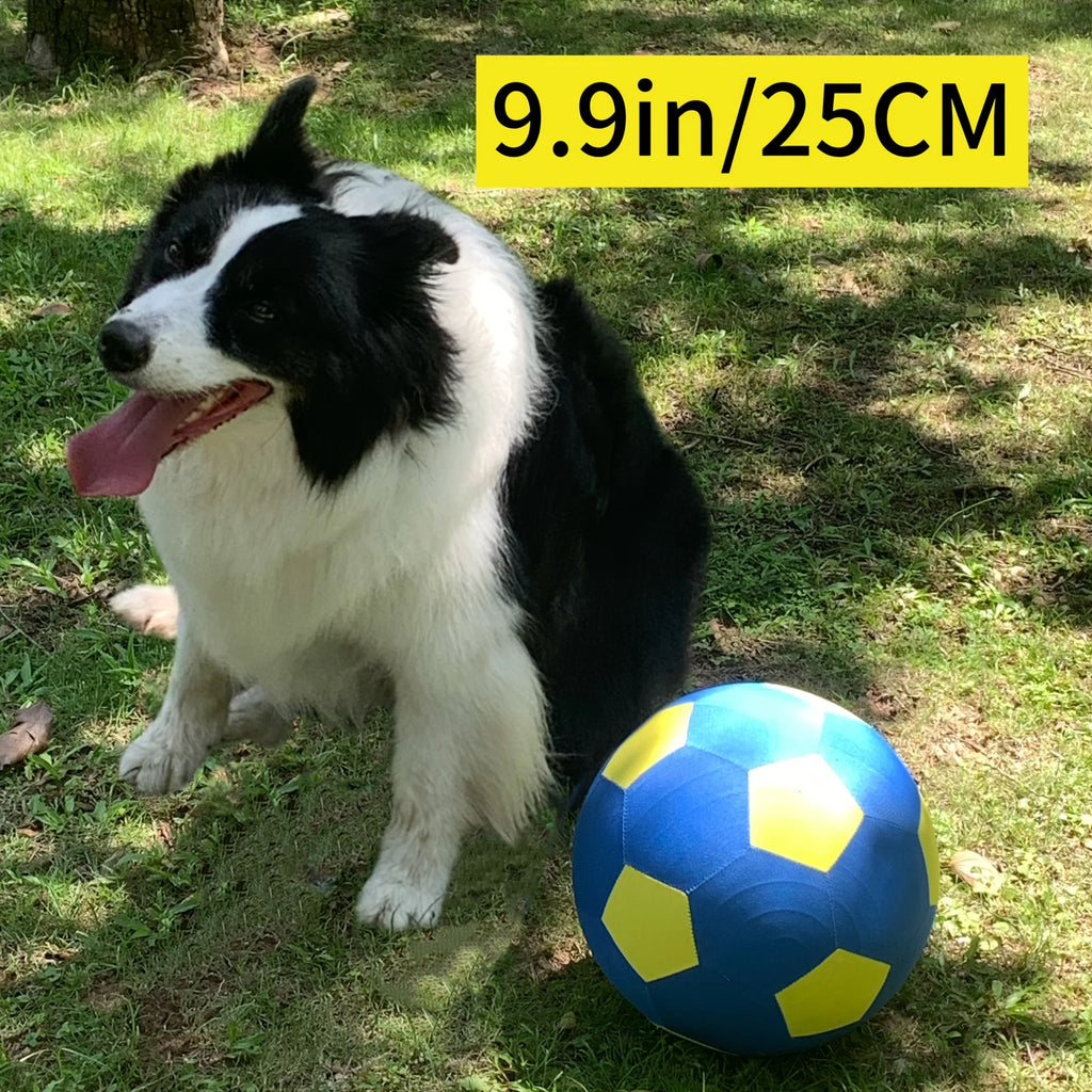 Upgraded 25cm/9.9in Herding Ball