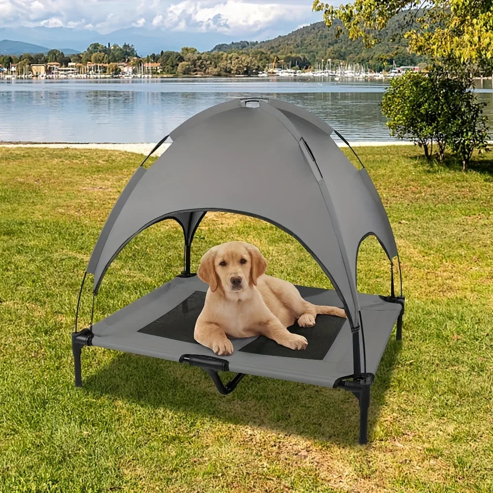 Elevated Dog Bed With Canopy