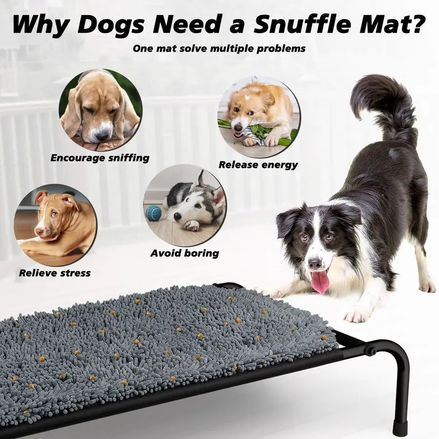 Raised Dog Bed with Snuffle Mat
