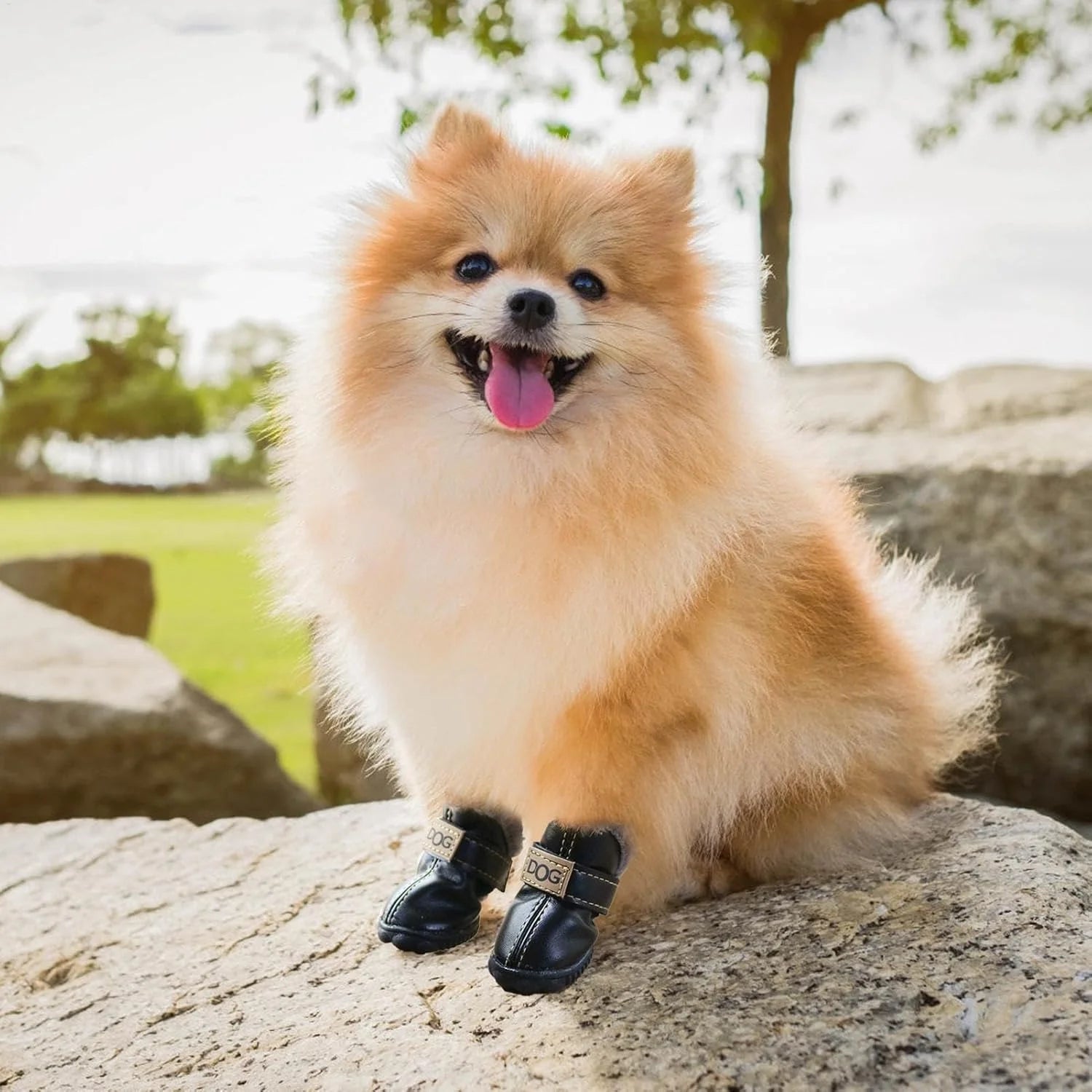 Waterproof Dog Winter Boots