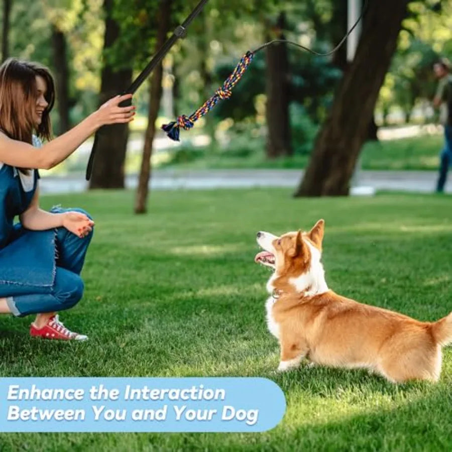 Interactive Adjustable Dog Flirt Pole Toy Set