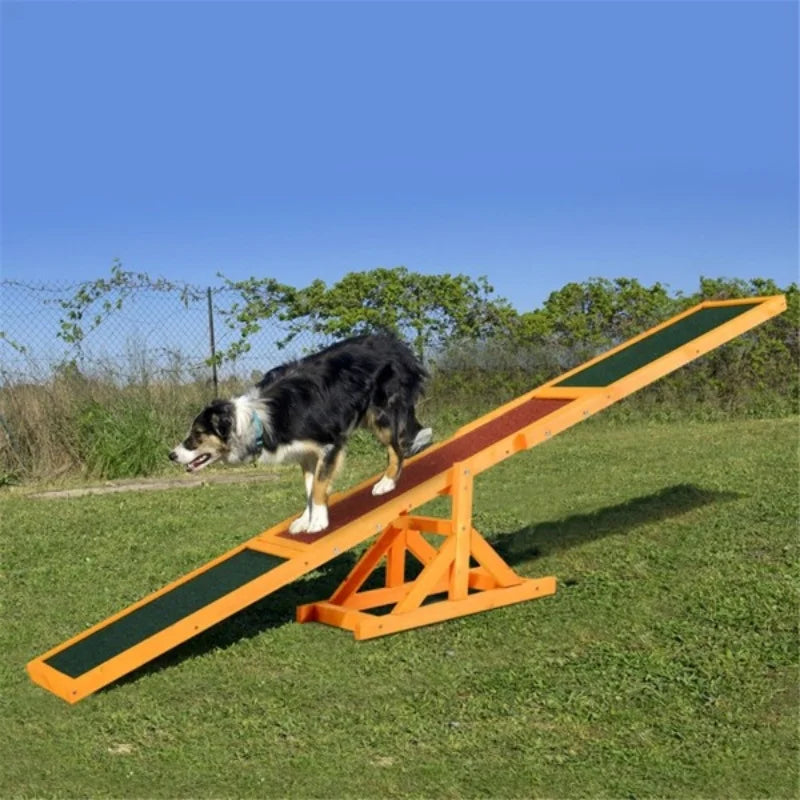 Agility Teeter Totter Dog Training Toy