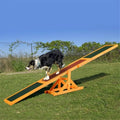 Agility Teeter Totter Dog Training Toy