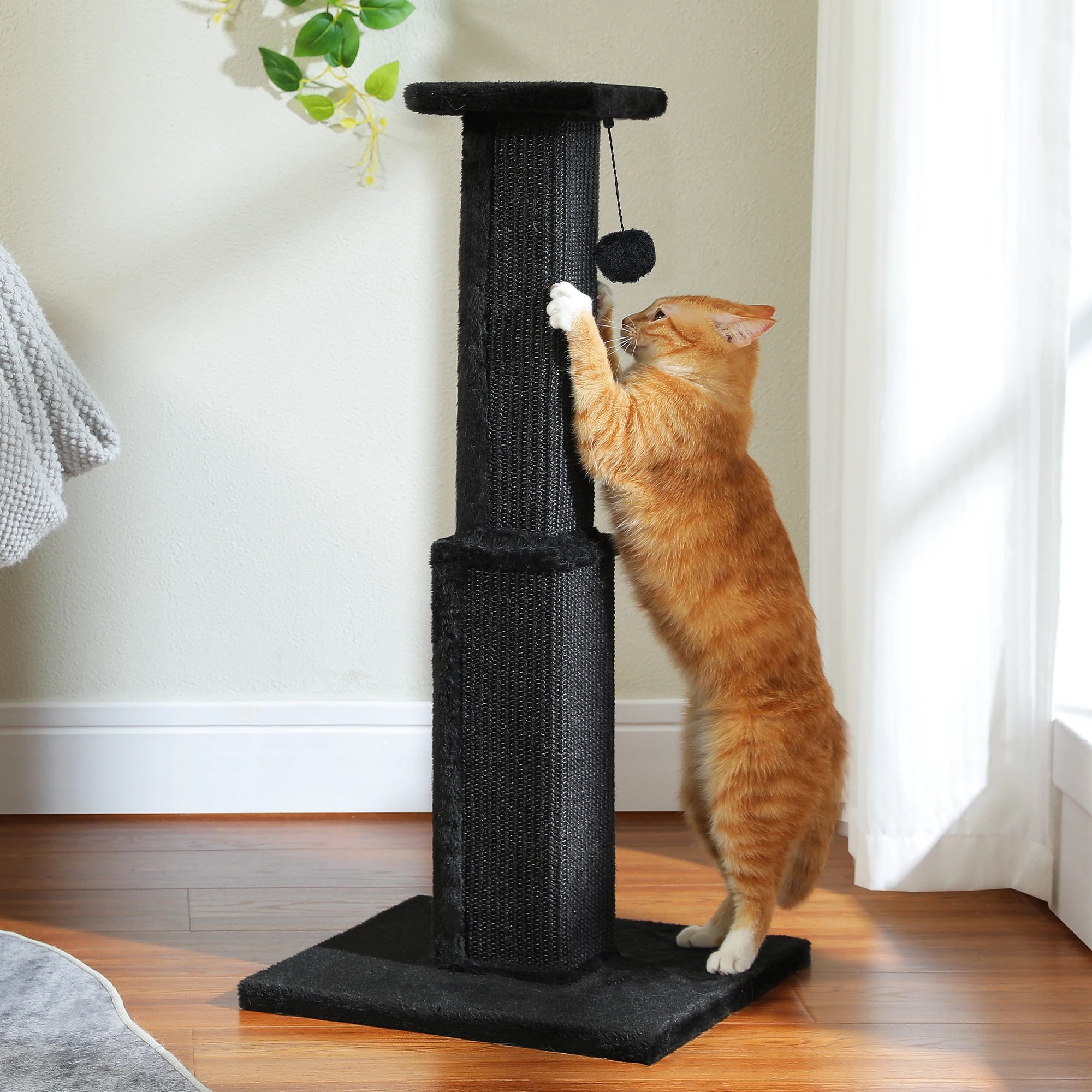 Tall Cat Scratching Post with Ball