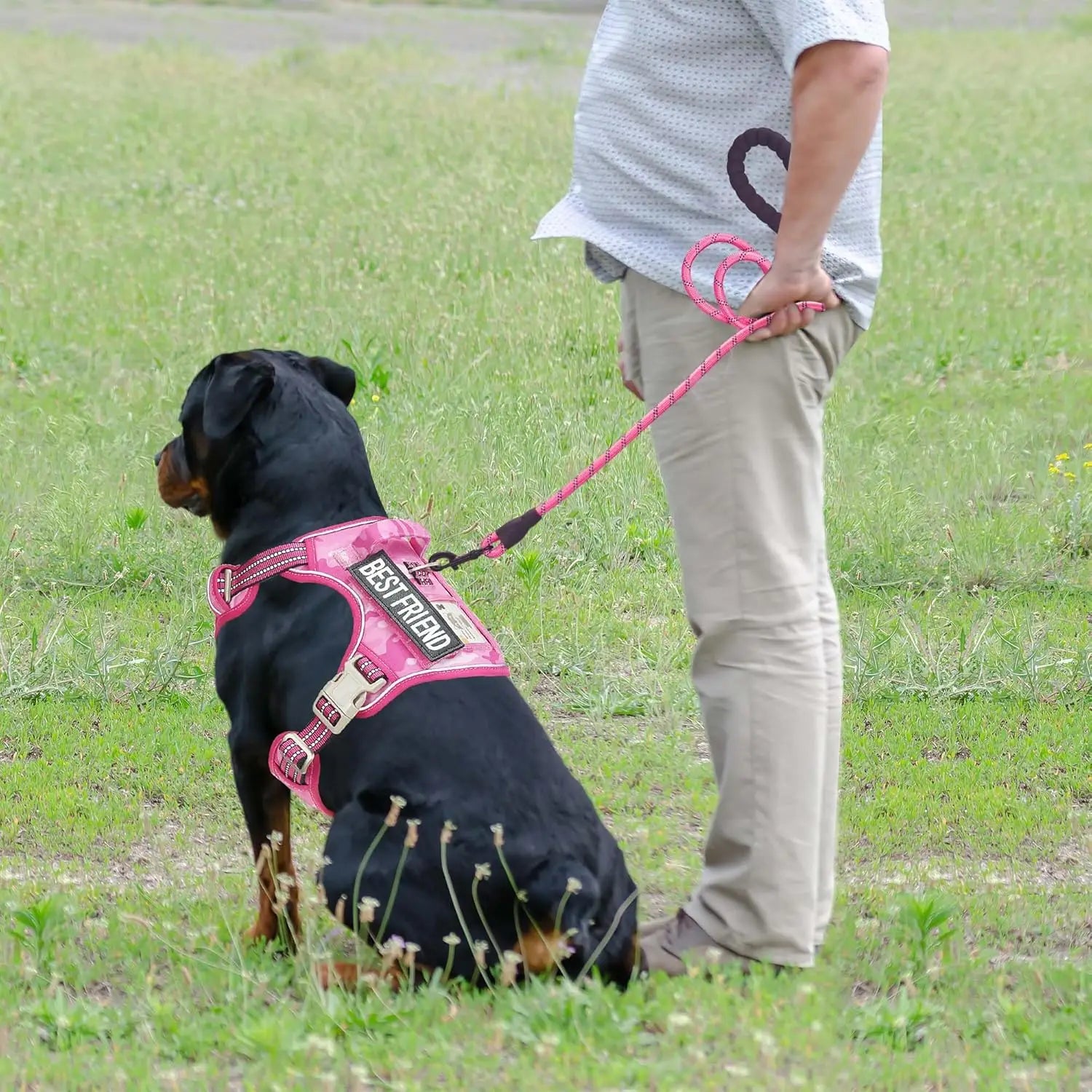 Heavy Duty Tactical Dog Harness