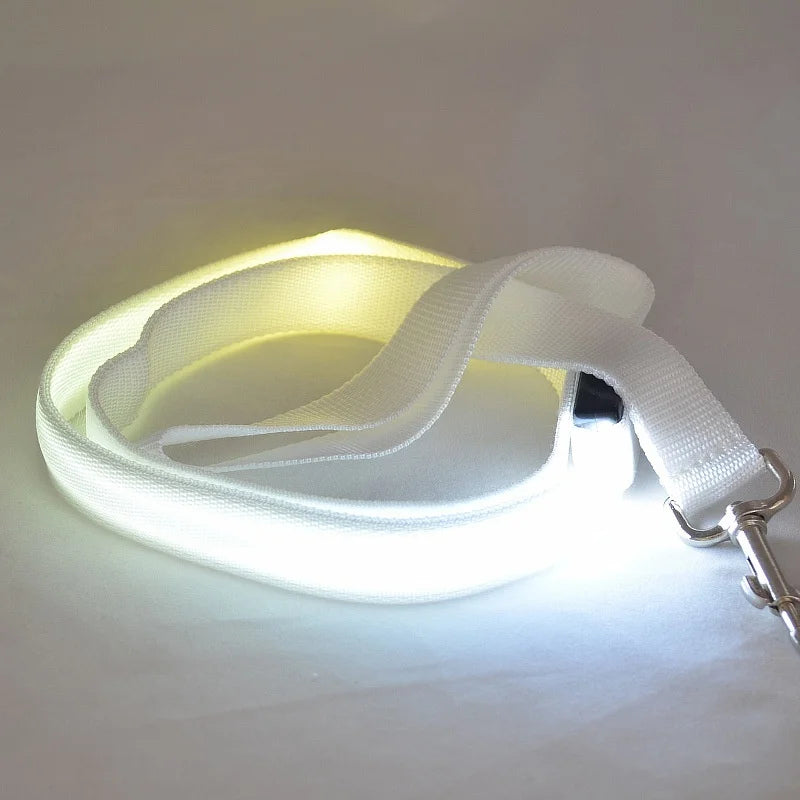 LED Lighted Dog Leash