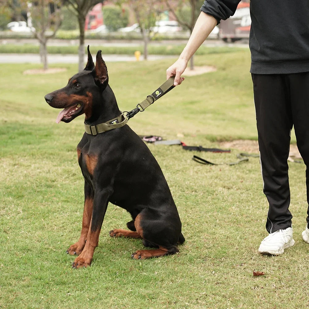 Short Traffic Leash with Padded Grip