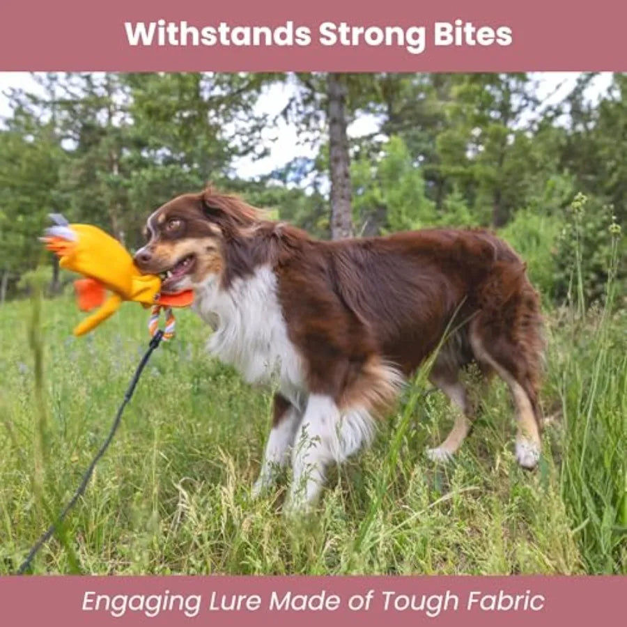 Heavy Duty Flirt Pole for Dogs