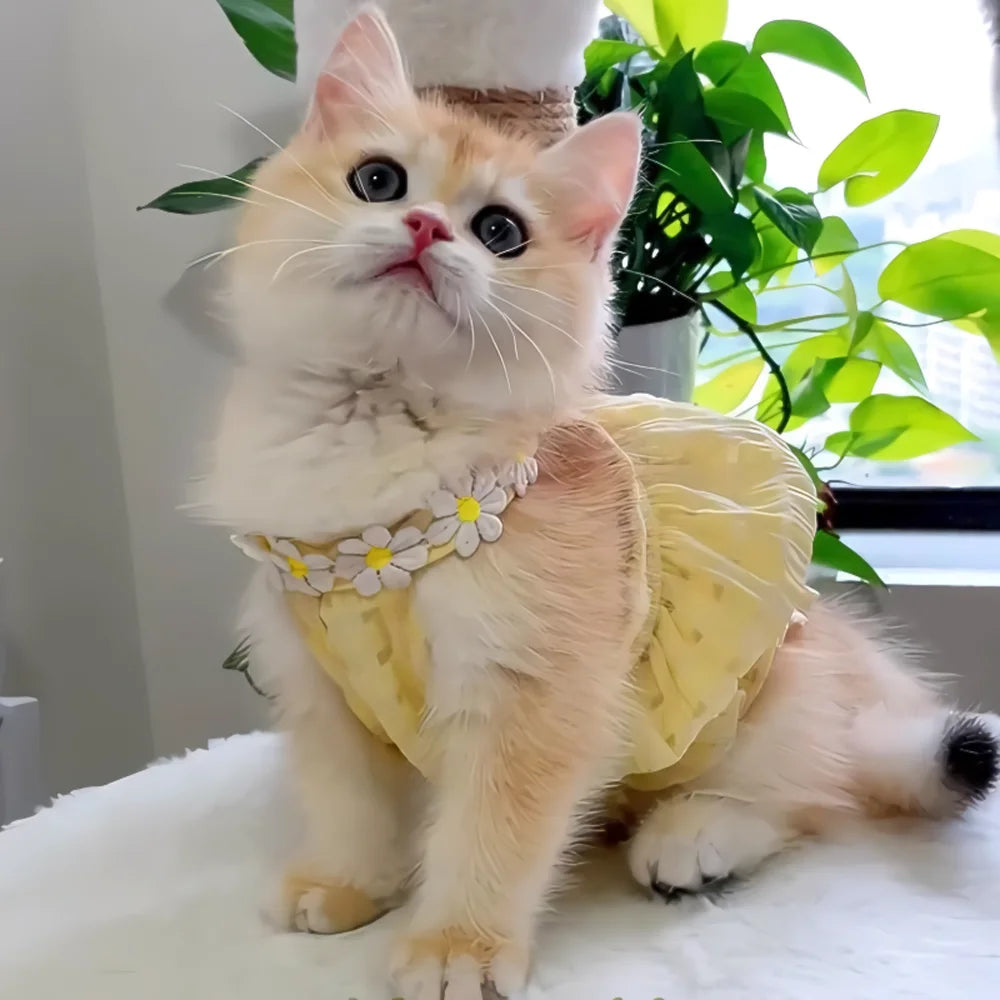 Adorable Small Dog or Cat Dress