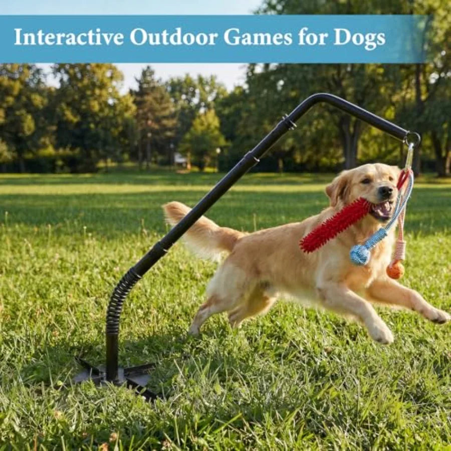 Outdoor Tether Tug Dog Toy Set