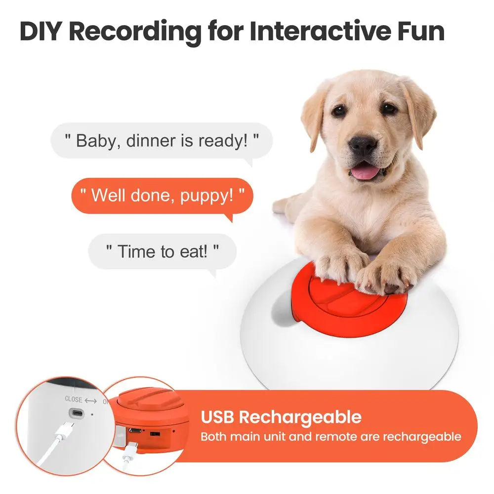 Interactive Dog Puzzle Feeder Toy