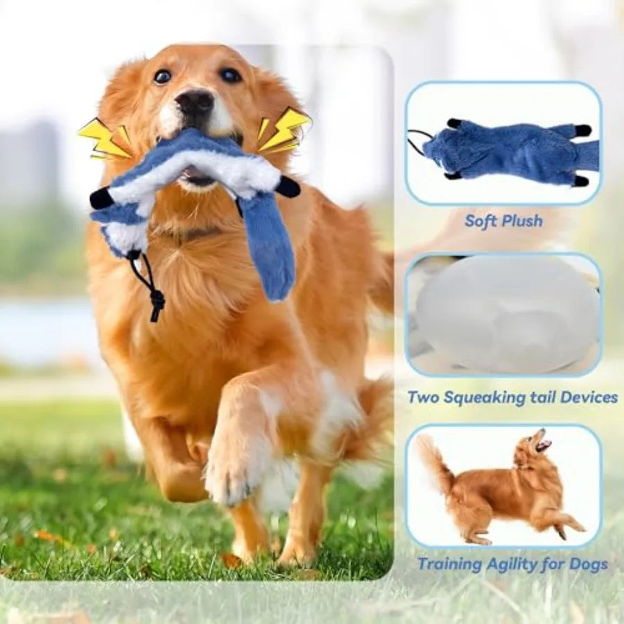 Interactive Adjustable Dog Flirt Pole Toy Set