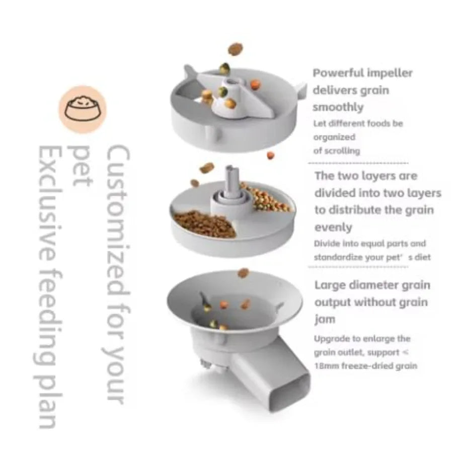 Automatic Double Pet Feeding Station
