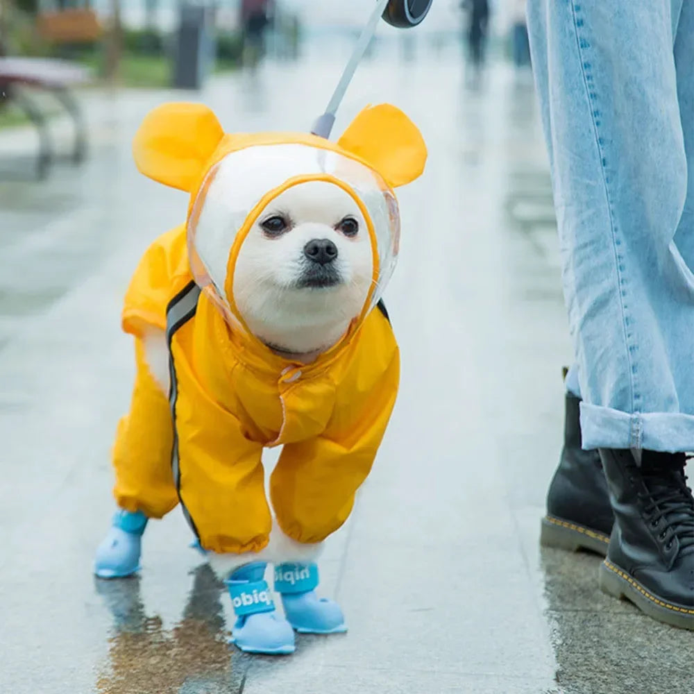 Bear, Dinosaur, or Bumble Bee Dog Raincoat