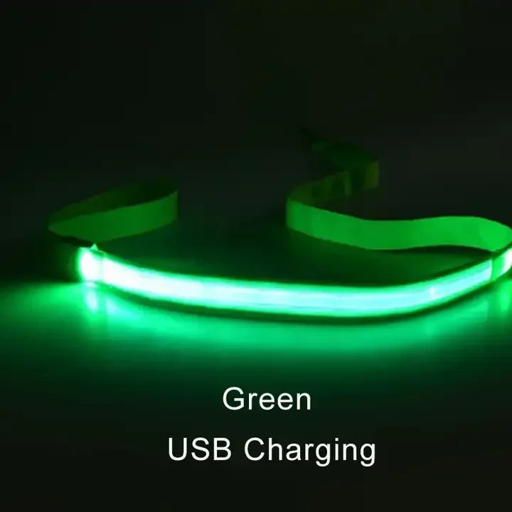 LED Lighted Dog Leash