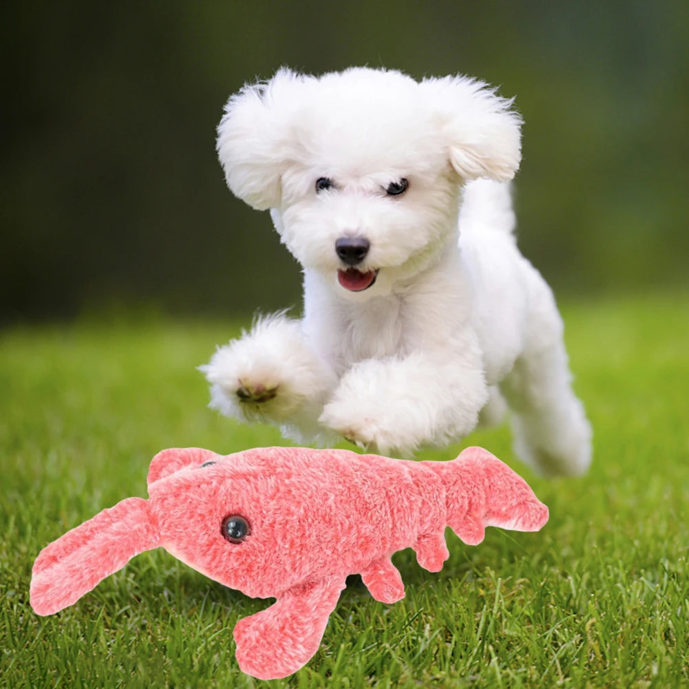 Interactive Floppy Lobster Dog Toy