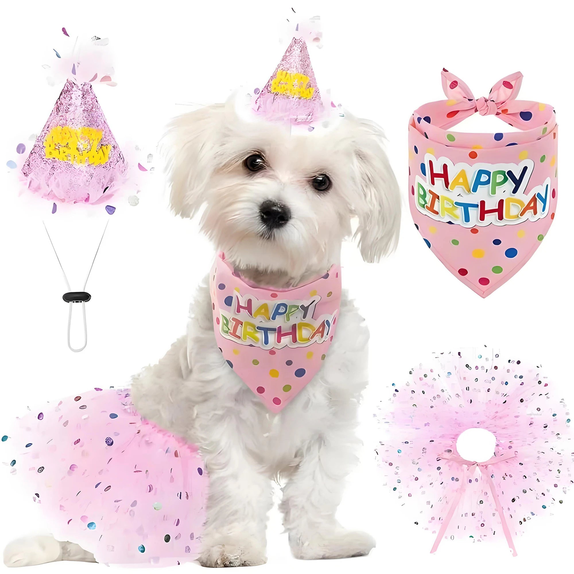 Adorable Dog Birthday Costume Set