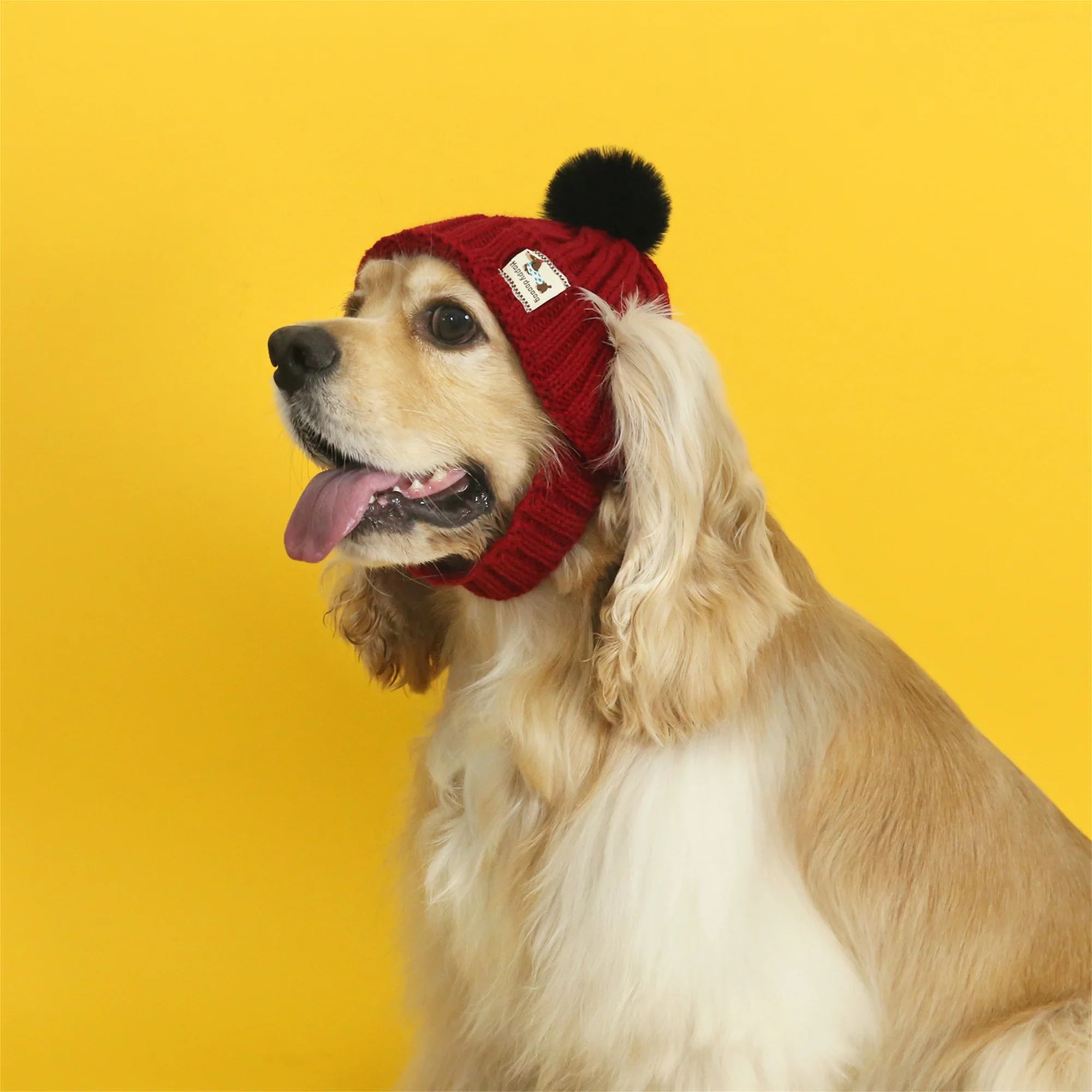 Warm Winter Pet Beanie with Pom Pom