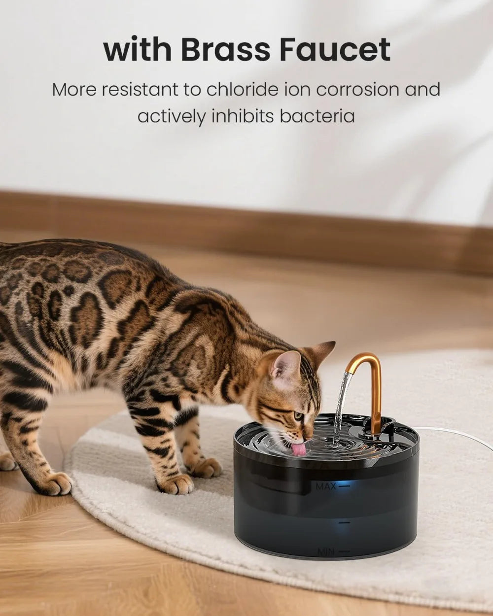 Black and Brass Automatic Pet Water Fountain
