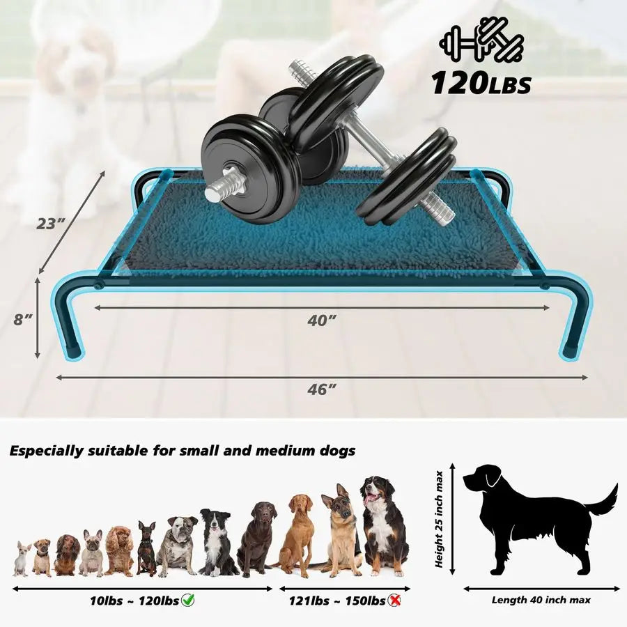 Raised Dog Bed with Snuffle Mat