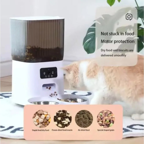 Automatic Double Pet Feeding Station