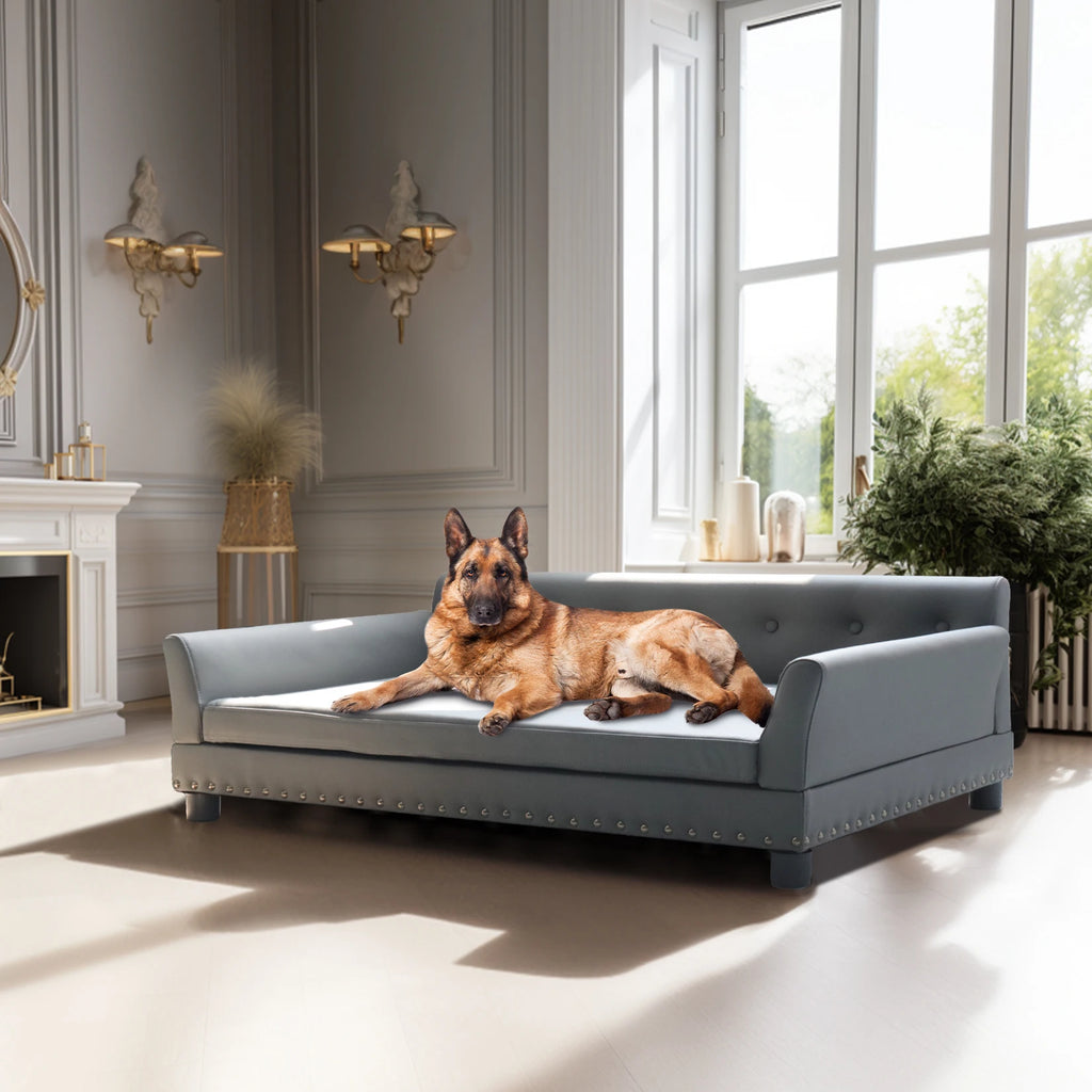 Durable Elevated Modern Dog Sofa Bed