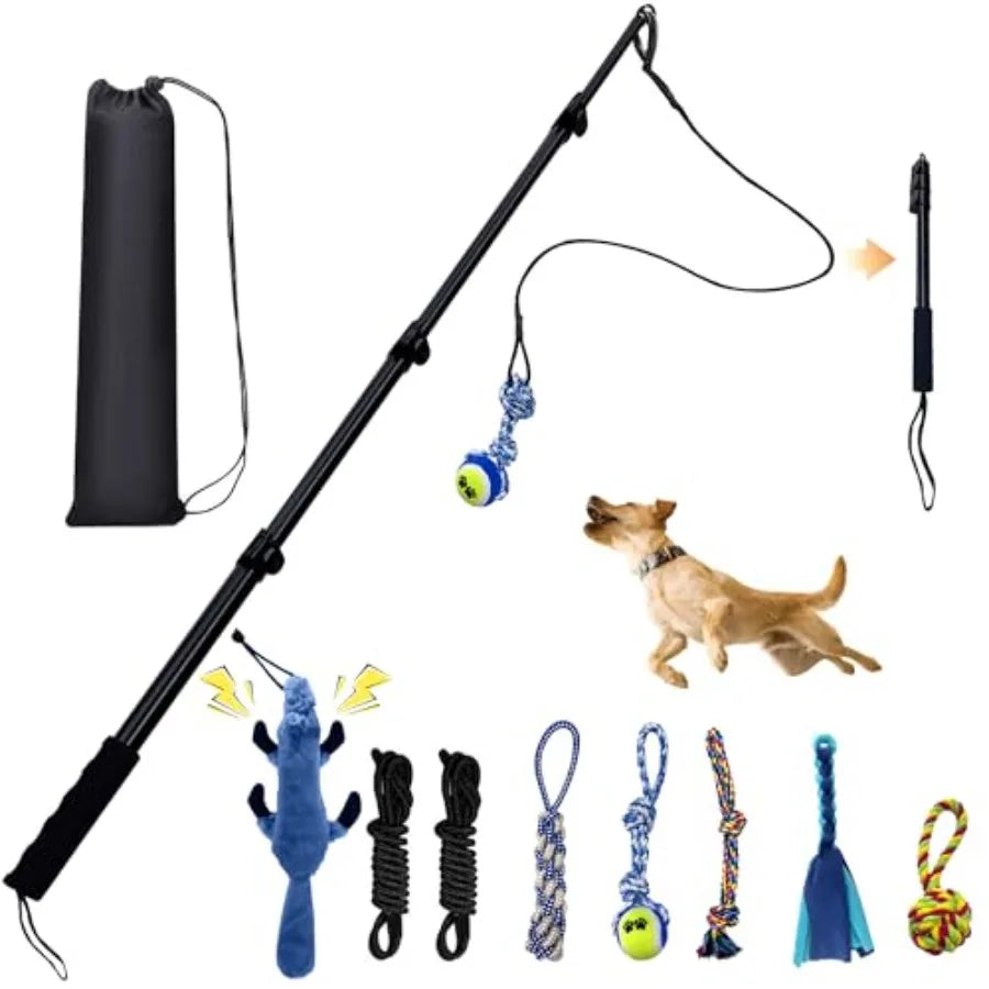 Interactive Adjustable Dog Flirt Pole Toy Set