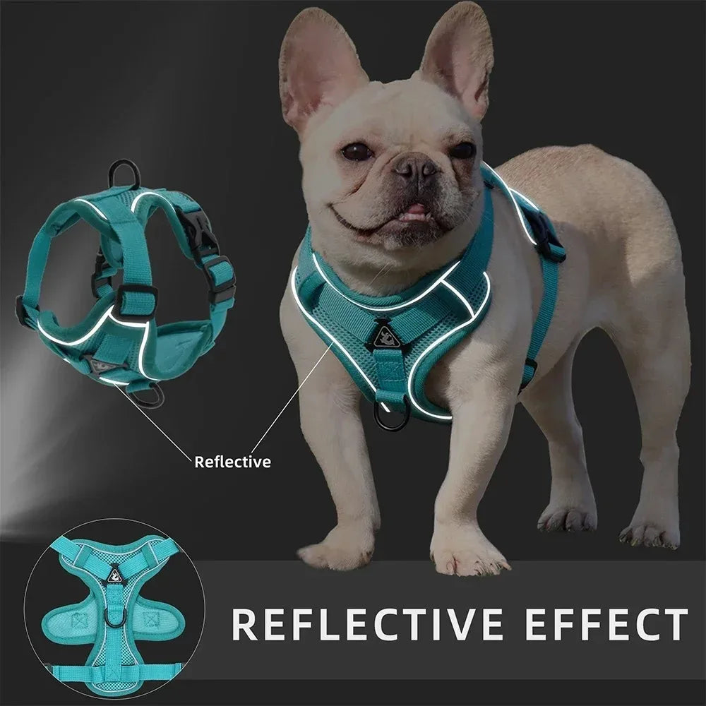 Adjustable No-Pull Dog Harness and Leash Set