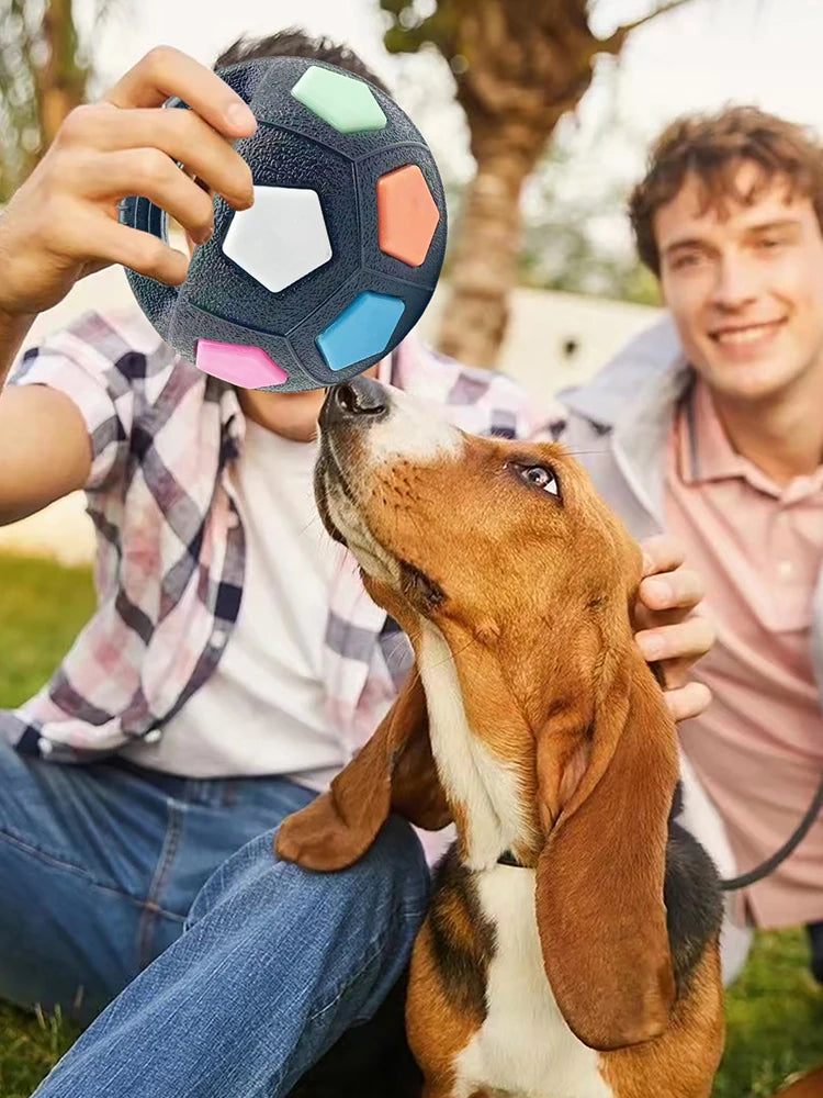 Dog Calming Ball with Handle