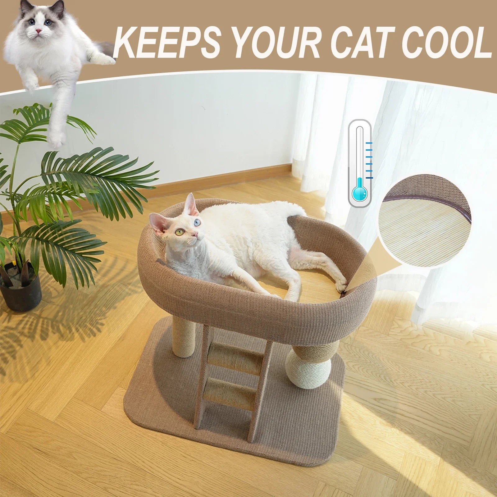 Sisal Scratching Board with Plush Cat Bed