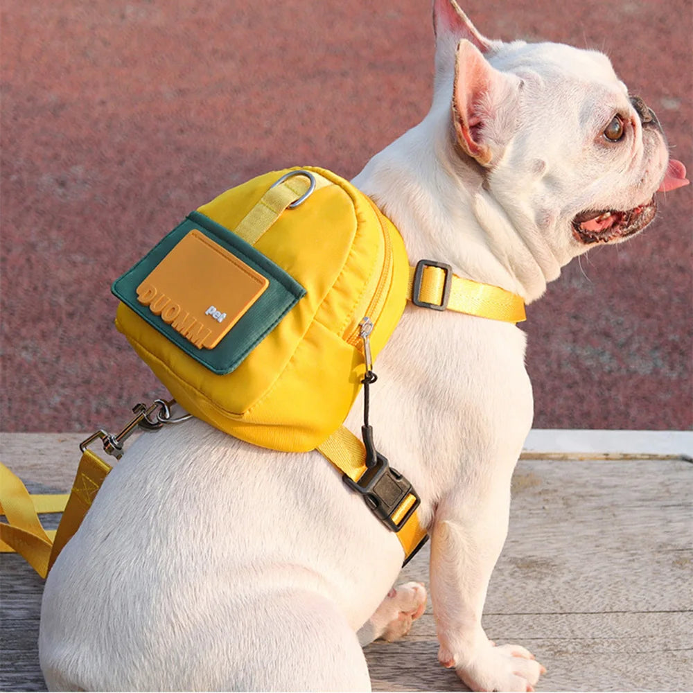 Waterproof Pet Backpack, Harness, and Leash